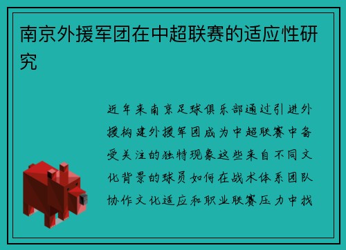 南京外援军团在中超联赛的适应性研究